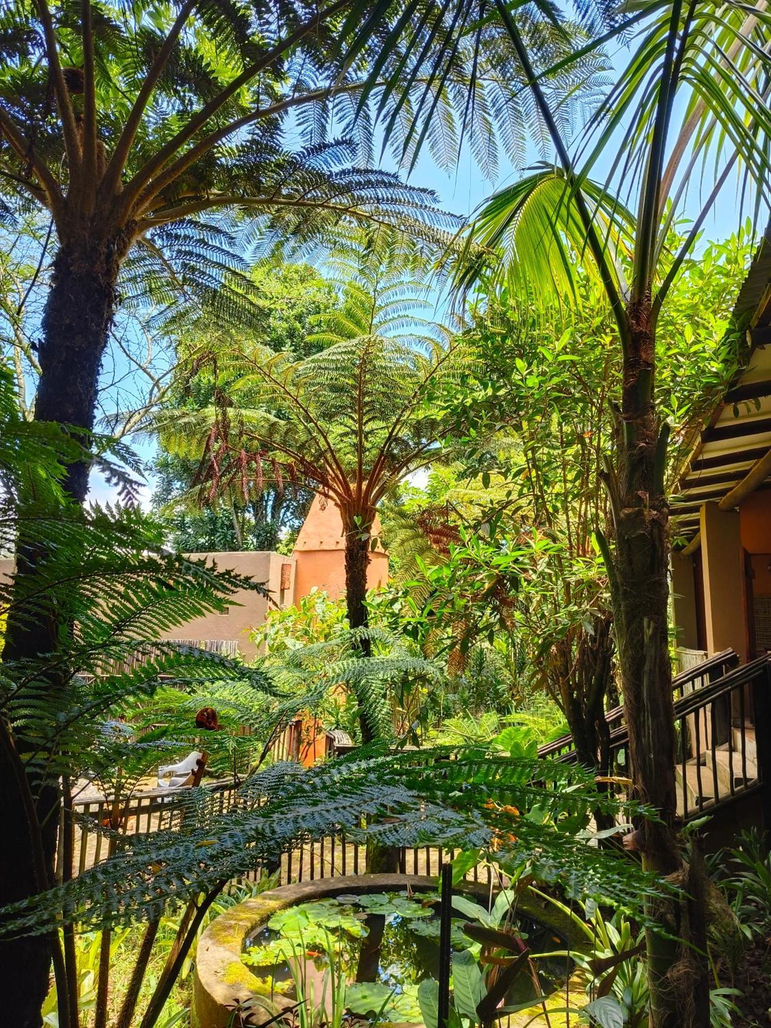 Dar Amane Guest House Graskop Esterno foto